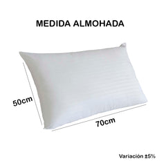 Set x 2 Almohadas siliconadas 70x50cm funda con cierre